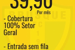 Adesão de novos sócios é a meta do marketing do Brusque FC; saiba como aderir