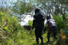 Jogo de airsoft no Morro do Observatório em Brusque