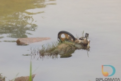 Caiaqueiros descem o Rio Itajaí Mirim