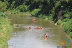 7 Descida do Rio Itajai Mirim (17)