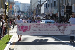 Desfile 4 de Agosto (63)