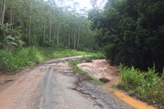 Duas pontes são levadas em Botuverá após forte chuva na madrugada