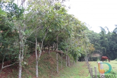 Escola Professa Adelina Zierke – bairro Ribeirão do Mafra