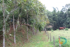 Escola Professa Adelina Zierke – bairro Ribeirão do Mafra