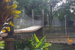 Parque Leopoldo Moritz (Caixa d'Água) foi revitalizado