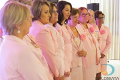 Posse da diretoria reeleita da Rede Feminina de Combate ao Câncer do Estado foi realizada em Brusque