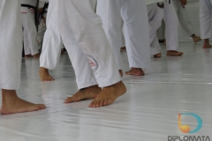 Seminario de Jiu Jitsu com mestre Rilion Gracie (12)