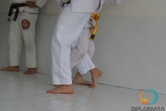 Seminario de Jiu Jitsu com mestre Rilion Gracie (13)