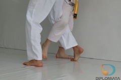 Seminario de Jiu Jitsu com mestre Rilion Gracie (14)