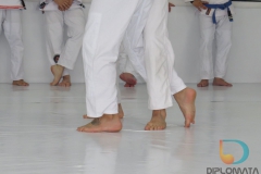 Seminario de Jiu Jitsu com mestre Rilion Gracie (17)