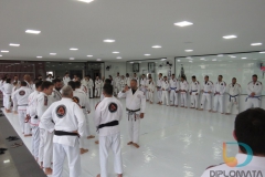 Seminario de Jiu Jitsu com mestre Rilion Gracie (2)