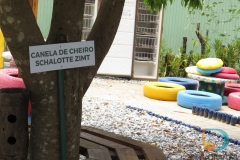 Escola Edith Gama Ramos esta localizada no bairro Cedro Grande , e conta com 33 alunos matriculados da Educação Infantil III ao 4° ano do Ensino Fundamental