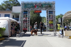 Corrida Rustica da PM Brusque (58)