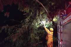 O temporal do final da noite de domingo, 14, provocou queda de árvore e problemas no fornecimento de energia elétrica em alguns bairros de Brusque (Foto: Corpo de Bombeiros)