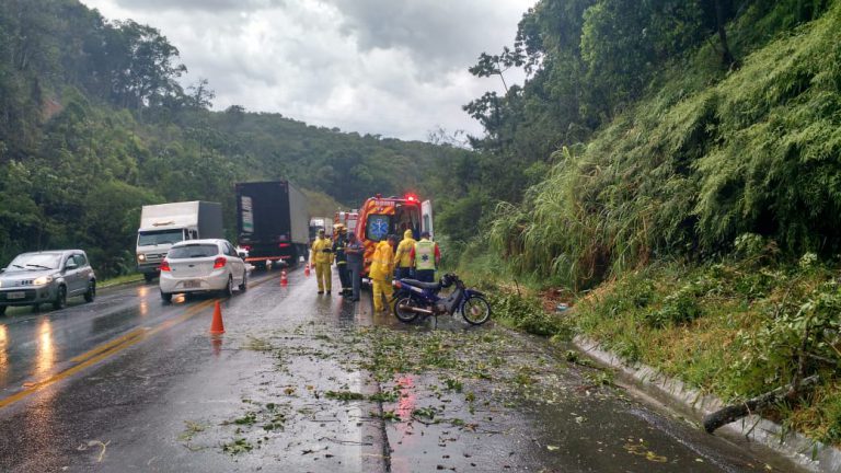Motociclista de Brusque é atingido por árvore durante tempestade na BR-470