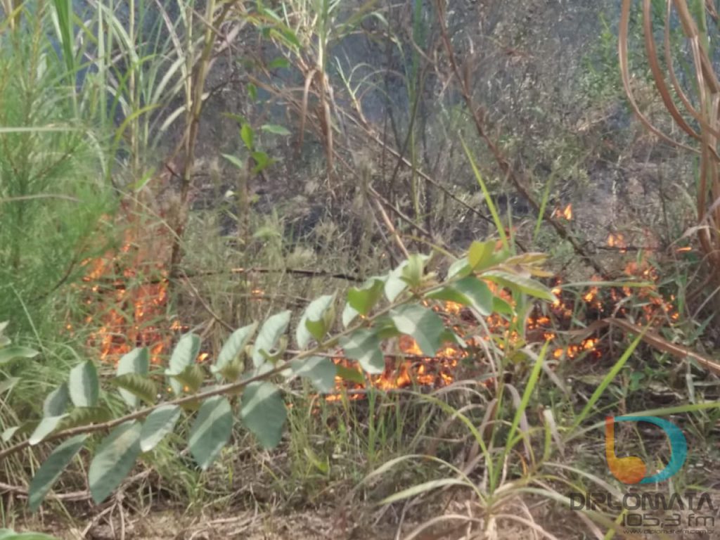 Incêndio em vegetação