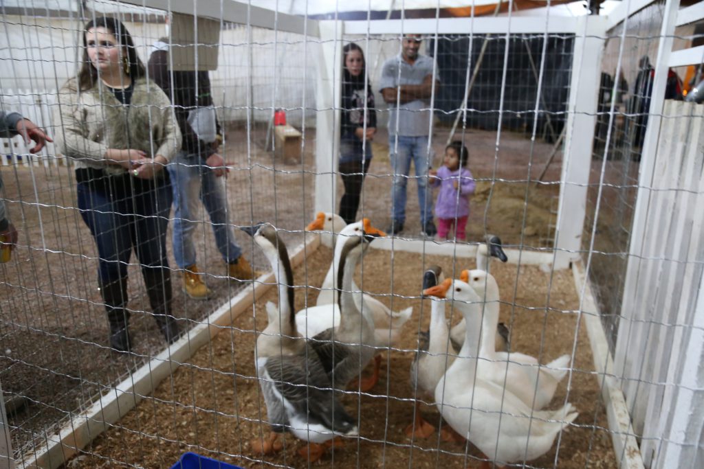 Feira em Guabiruba