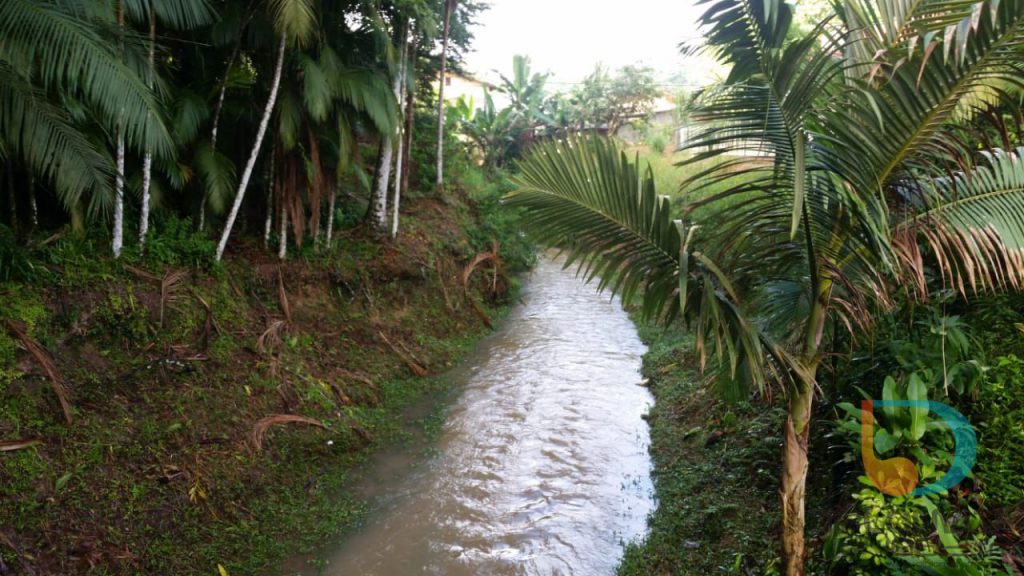 Ribeirão Bateas