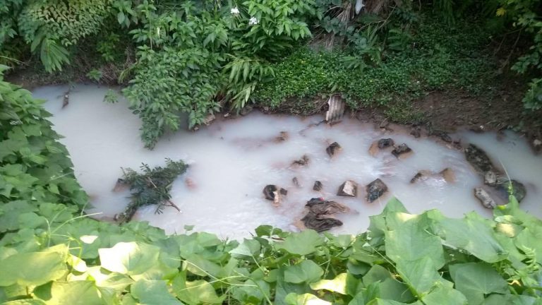 Mais um registro de poluição no ribeirão do “Beco Kohler”, bairro São Luiz