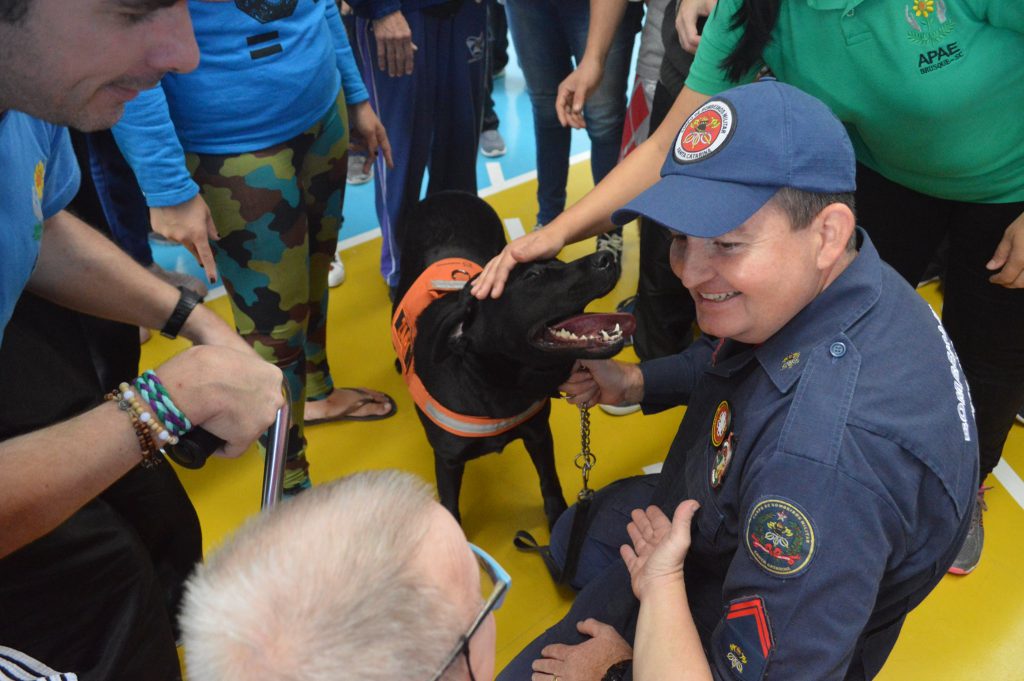 bombeiros