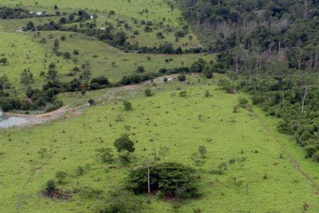 projeto_rural_na_amazonia_-_pnud