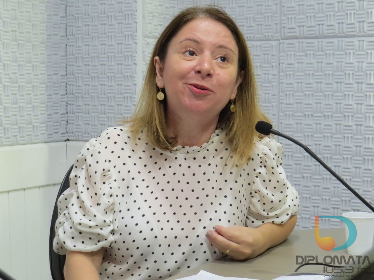 Plantão segurança pública
