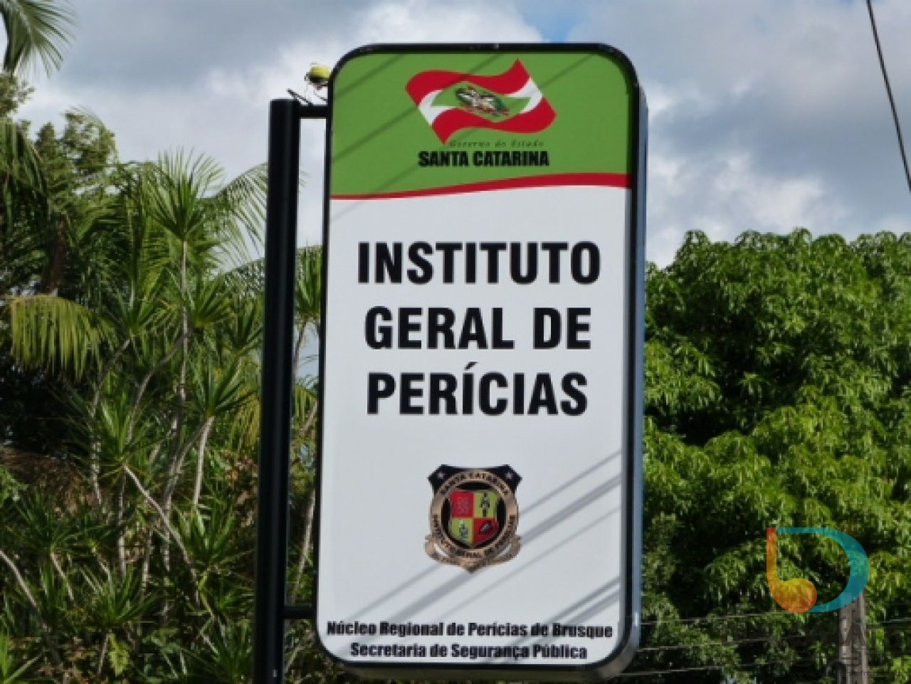 Plantão segurança pública