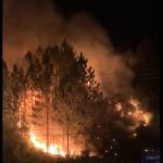 Incêndio em vegetação