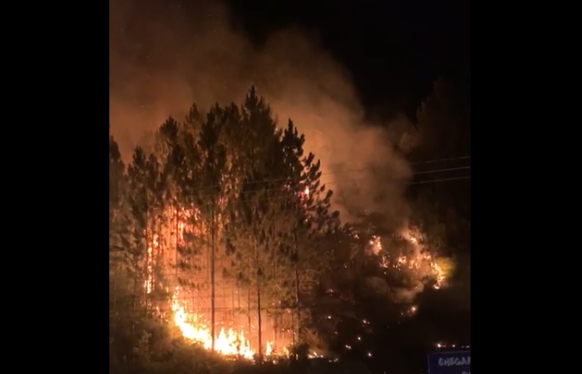 Incêndio em vegetação