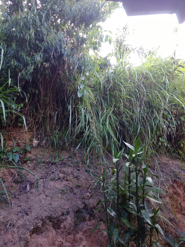 Plantão segurança pública