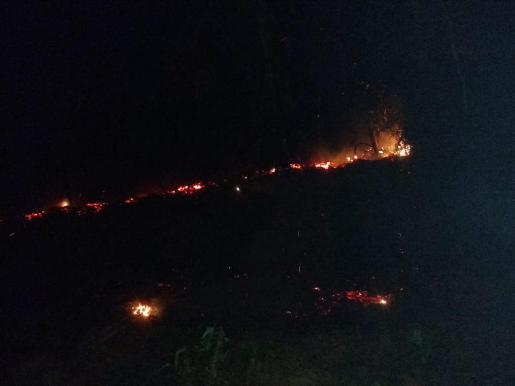 Corpo de Bombeiros combate incêndio em vegetação na rua Ponta Russa