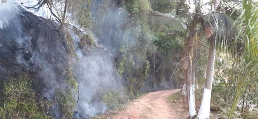 Incêndio destrói 5m² de vegetação no Guarani