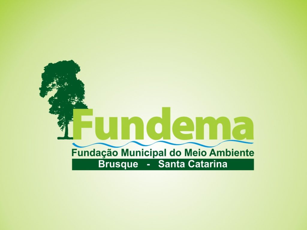 Fundema