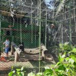 Zoobotanico Brusque (3)