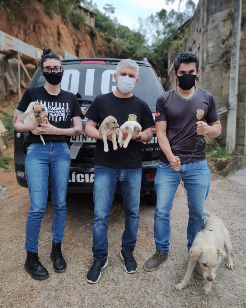 Equipe da Polícia Civil com apoio da Acapra durante resgate de cães em situação de maus tratos