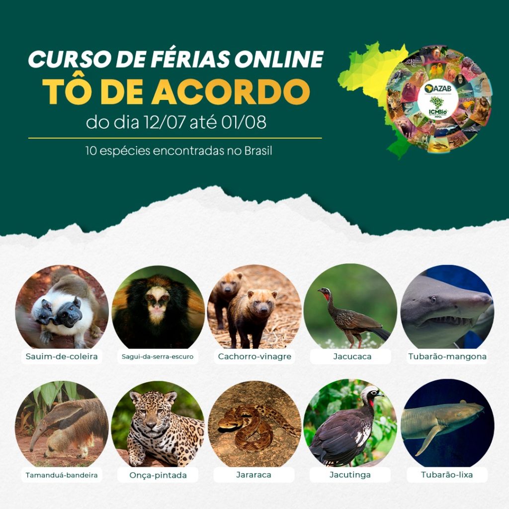 Parque Zoobotânico participa de programação on-line de férias com mais de 20 instituições brasileiras | Rádio Diplomata FM 105,3 – [Blog GigaOutlet]