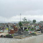 Cemitério Parque da Saudade_06