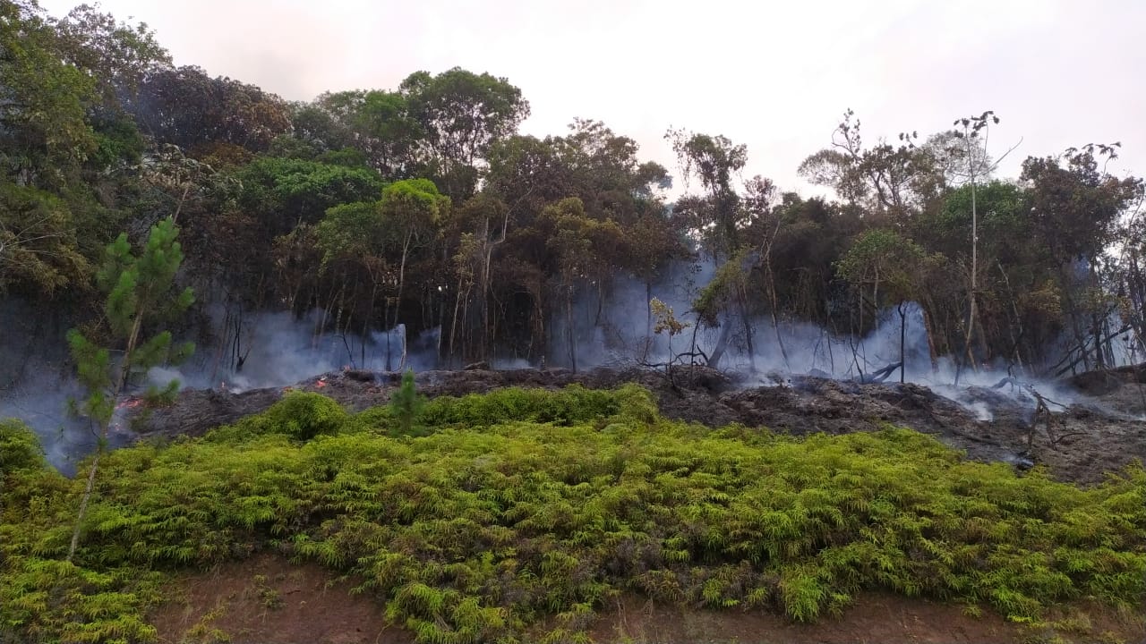 Plantão segurança pública
