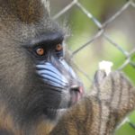 WhatsApp Image 2022-03-03 at 15.52.33 (1)