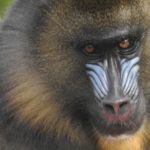 WhatsApp Image 2022-03-03 at 15.52.33