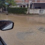 WhatsApp Image 2022-03-12 at 00.28.38