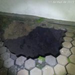 WhatsApp Image 2022-03-12 at 00.28.43 (1)