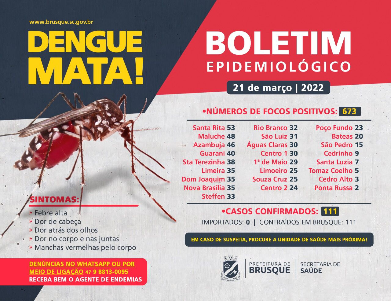 Dengue: brotes por año llegan a 673 |  Radio Diplomat FM 105.3