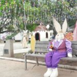 WhatsApp Image 2022-03-31 at 15.14.19 (1)