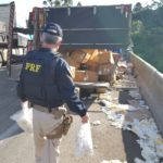 WhatsApp Image 2022-04-04 at 14.22.26 (1)