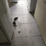 WhatsApp Image 2022-12-23 at 14.57.12 (2)