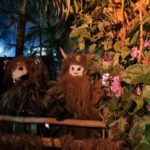 pelznickelplatz – Suellen Pereira Amplitude (1)
