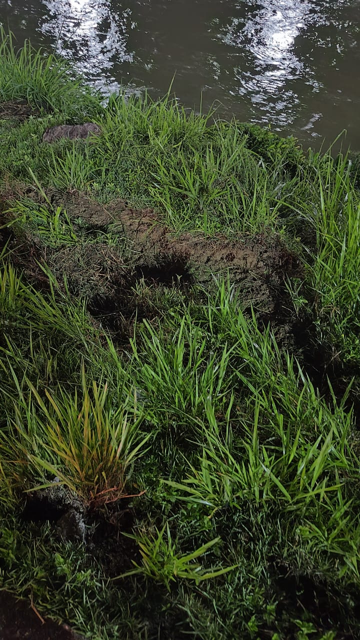 Plantão segurança pública