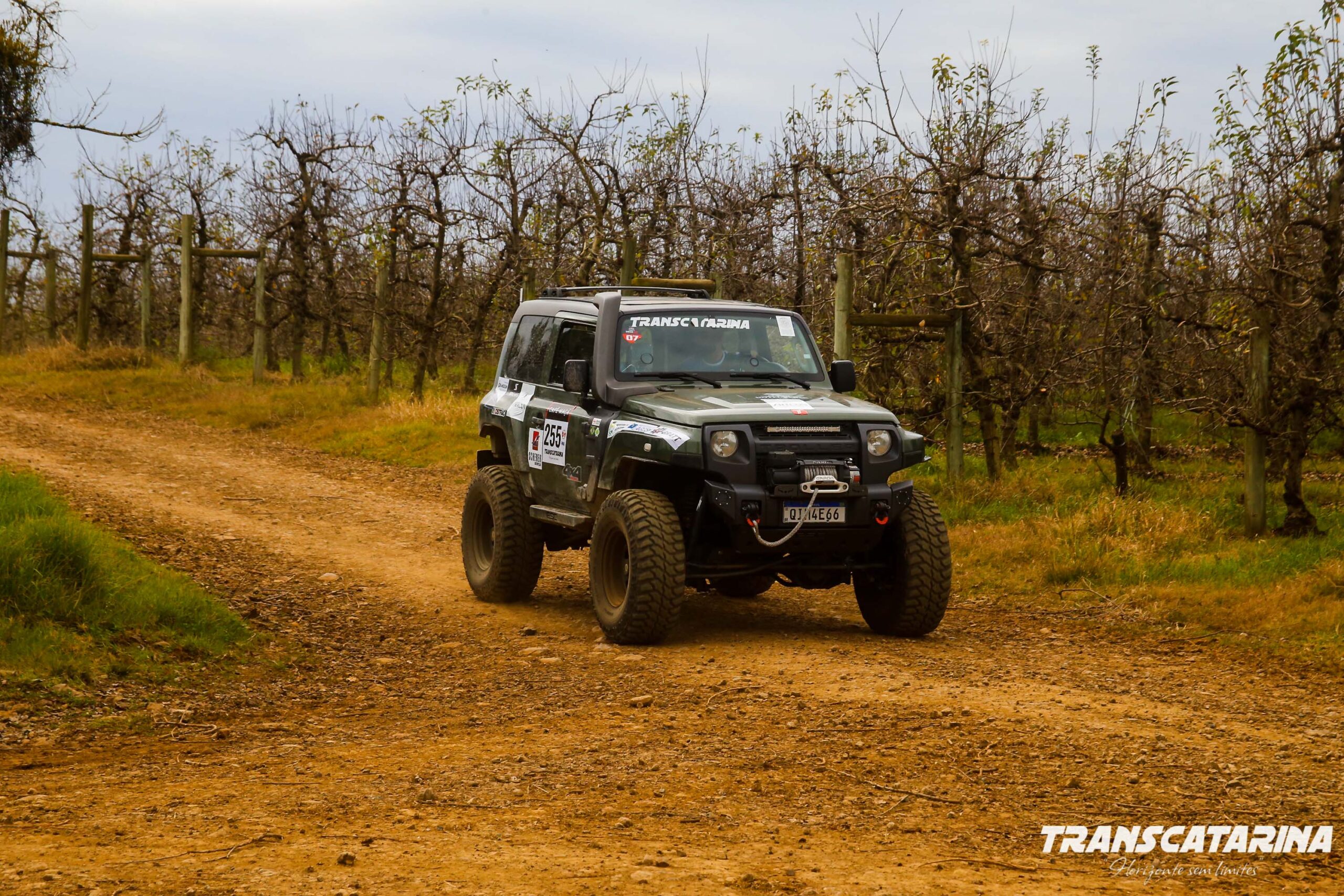 Plantão segurança pública
