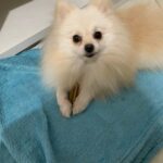 WhatsApp Image 2023-07-06 at 08.27.34